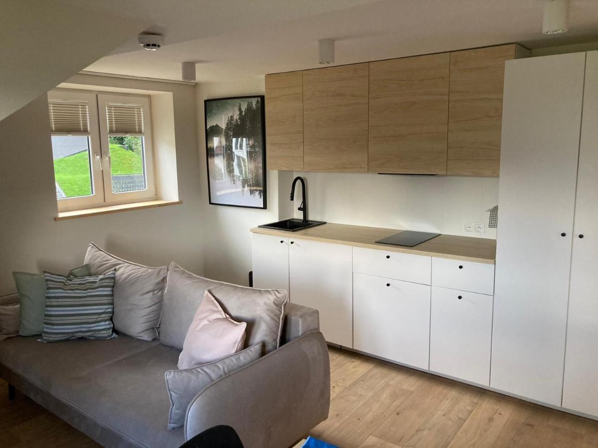 Apartament Tymon カルパッチ エクステリア 写真